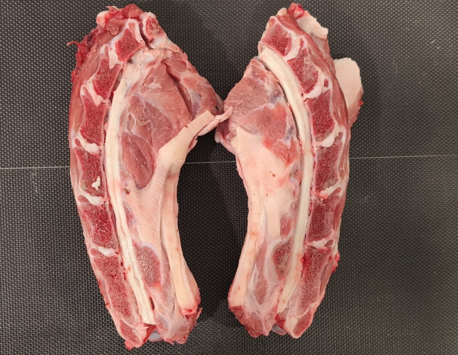 Cuello Cordero de Aragón